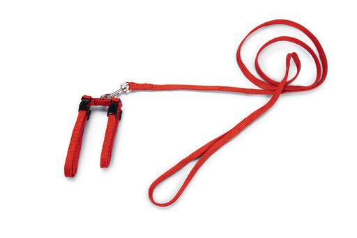 Bz Nylon Kattentuigje Rd 130X10
