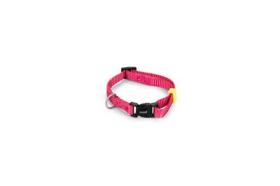 BZ NYLON HALSBAND UNI RZE 20-30X10