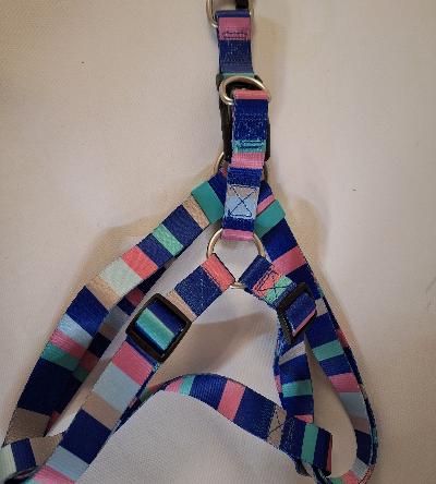 BZ NYL BORSTTUIG STRIPES 60-100X25
