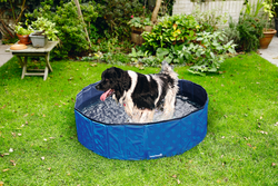 BZ ZWEMB DOGGY DIP S BLW 80X80X20