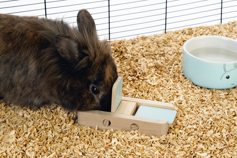 BZ HOUT BRAINGAME DORIX MINT 15