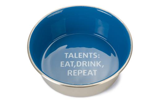 Bz Rvs Eetbak Talents Hond Blw 20