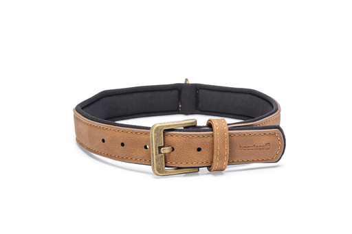 Bz Balacron Halsband Ax Bruin 43-53X25