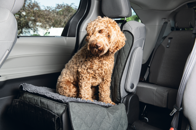 DIRTY DOG AUTODEKEN GRS 112X89