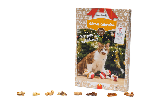 BZ KERST ADVENTSKALENDER KAT PURR