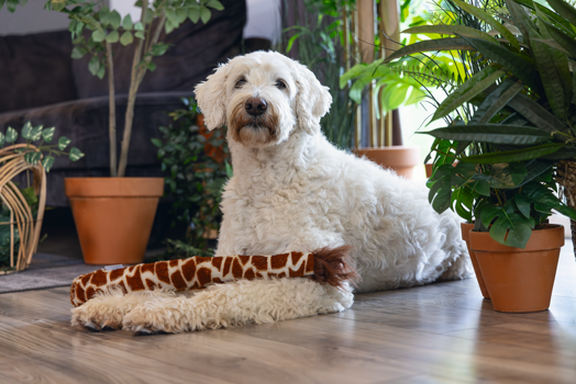 BZ PLUCHE HONDENSPEELGOED JUNGLE GIRAF STAART BRUIN