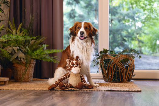 BZ PLUCHE HONDENSPEELGOED JUNGLE GIRAF BRUIN 40