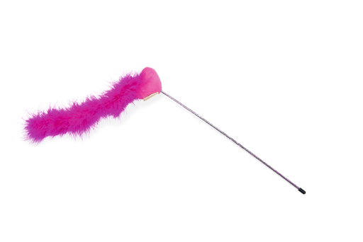 BZ KATTENHENGEL HART M VEER RZE 47