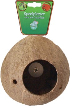 KOKOSNOOT MET SCHROEFDRAAD