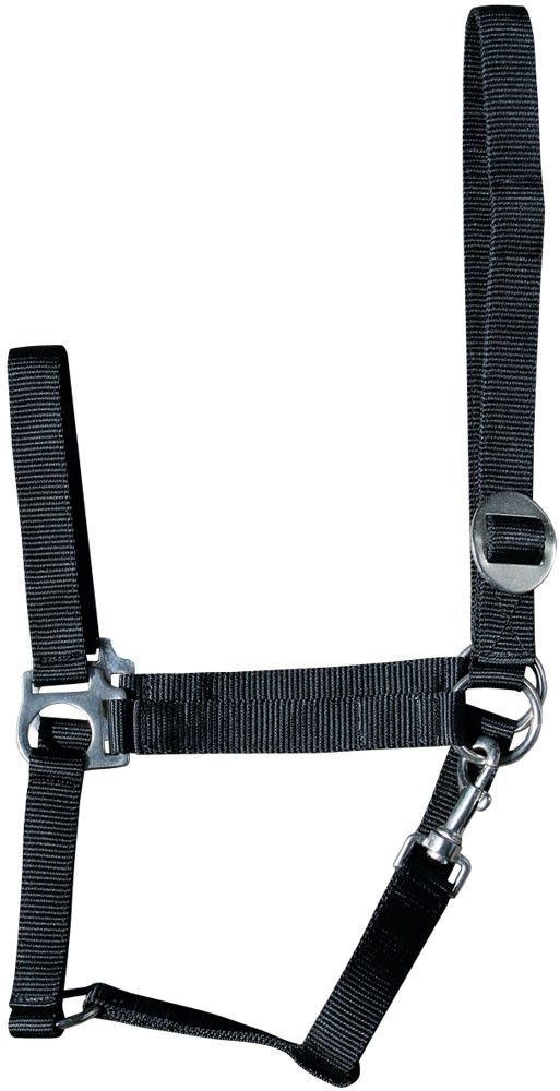 HALSTER ECONOMY COB ZWART