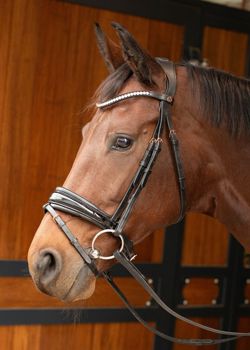 HOOFDSTEL ROSEGOLD LACQUE II FULL