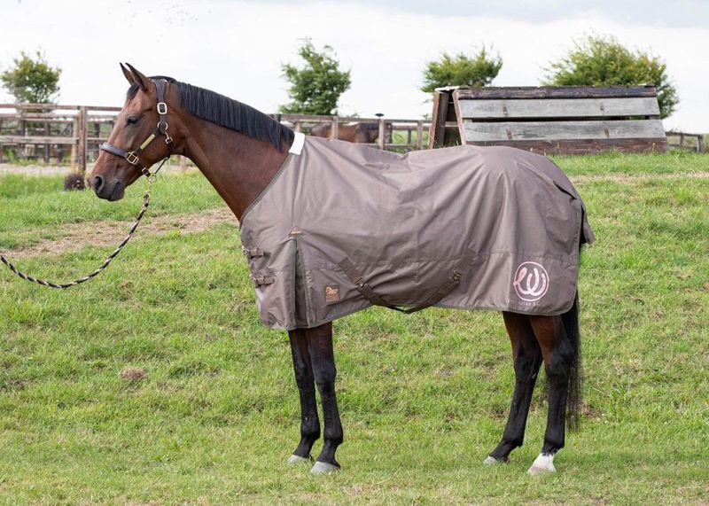 OUTDOORDEKEN 0GR WI23 185CM CHOCOLATE-CHIP