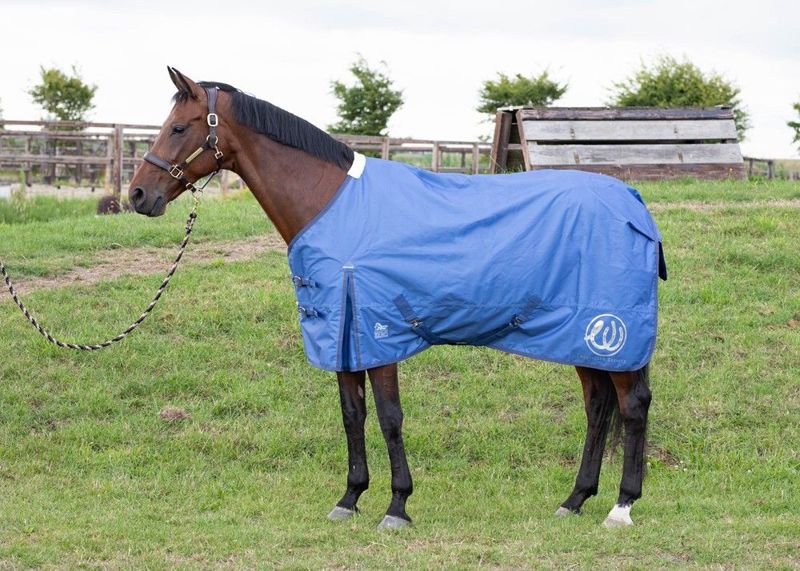 OUTDOORDEKEN 0GR FLEECE WI23 195CM DUTCH-BLUE