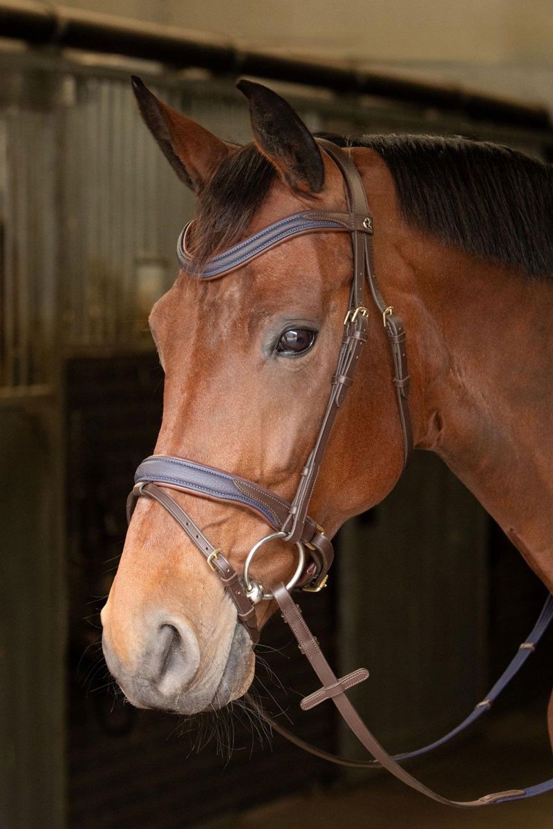 HOOFDSTEL HAVANNA NAVY FULL BRUIN