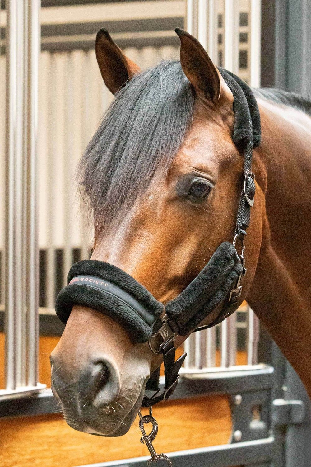 HALSTERSET SOFT BILLIE JET-BLACK