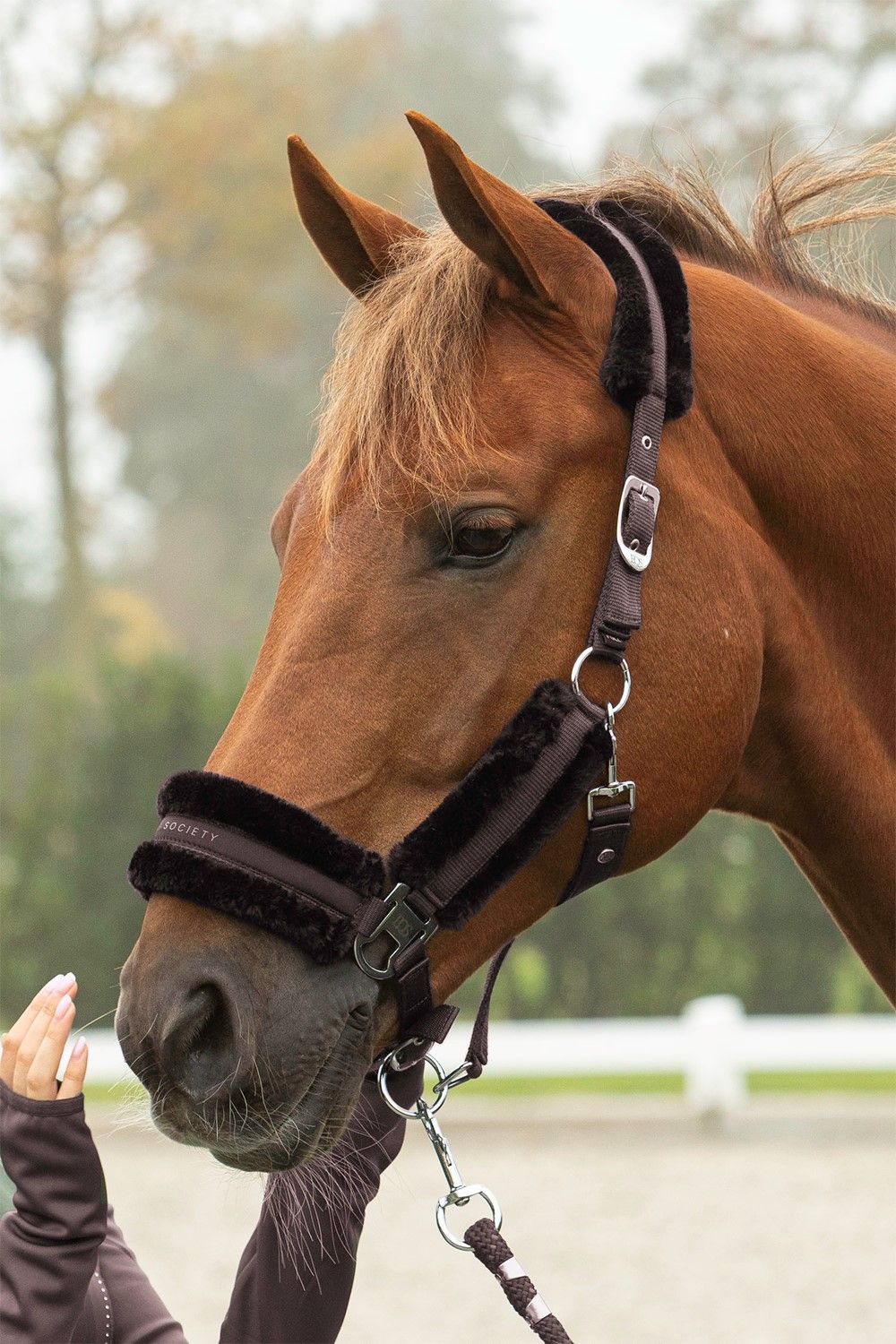 HALSTERSET SOFT BILLIE AFTER-DARK