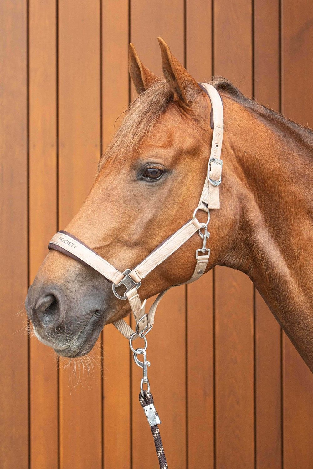 HALSTERSET SATIN ELI SILVER-MINK