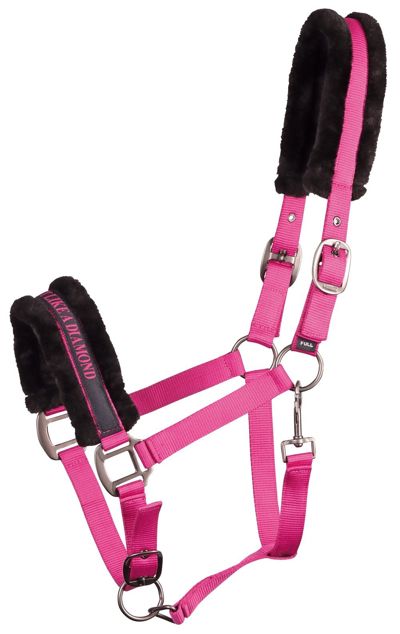 HALSTER LYRICS QUOTES FULL FUCHSIA