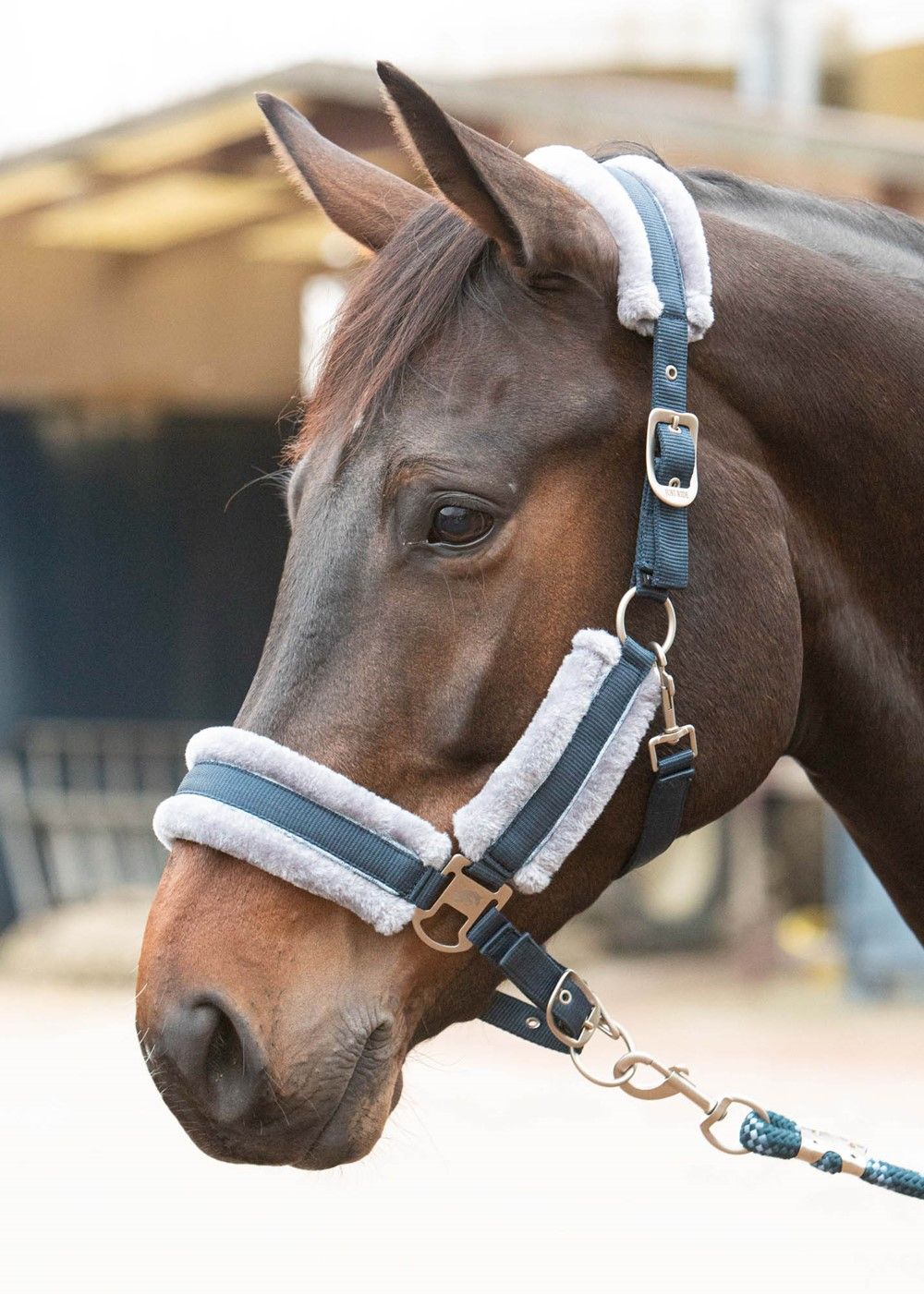 HALSTERSET JUST RIDE RETRO SOFT NAVY