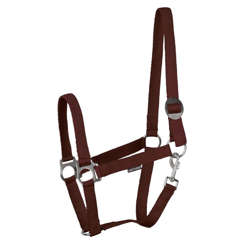 HALSTER ECONOMY FULL BORDEAUX