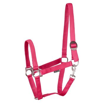 HALSTER ECONOMY COB FUCHSIA