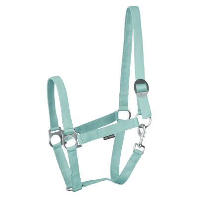 HALSTER ECONOMY COB TURQUOISE