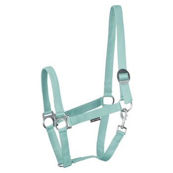 HALSTER ECONOMY COB TURQUOISE