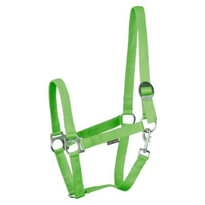 HALSTER ECONOMY PONY LIME
