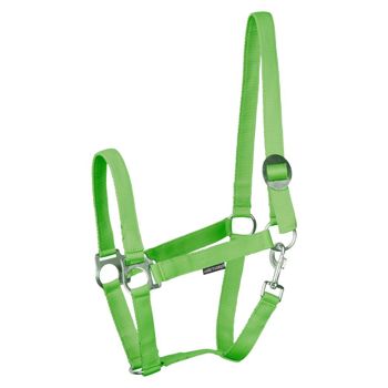 HALSTER ECONOMY FULL LIME