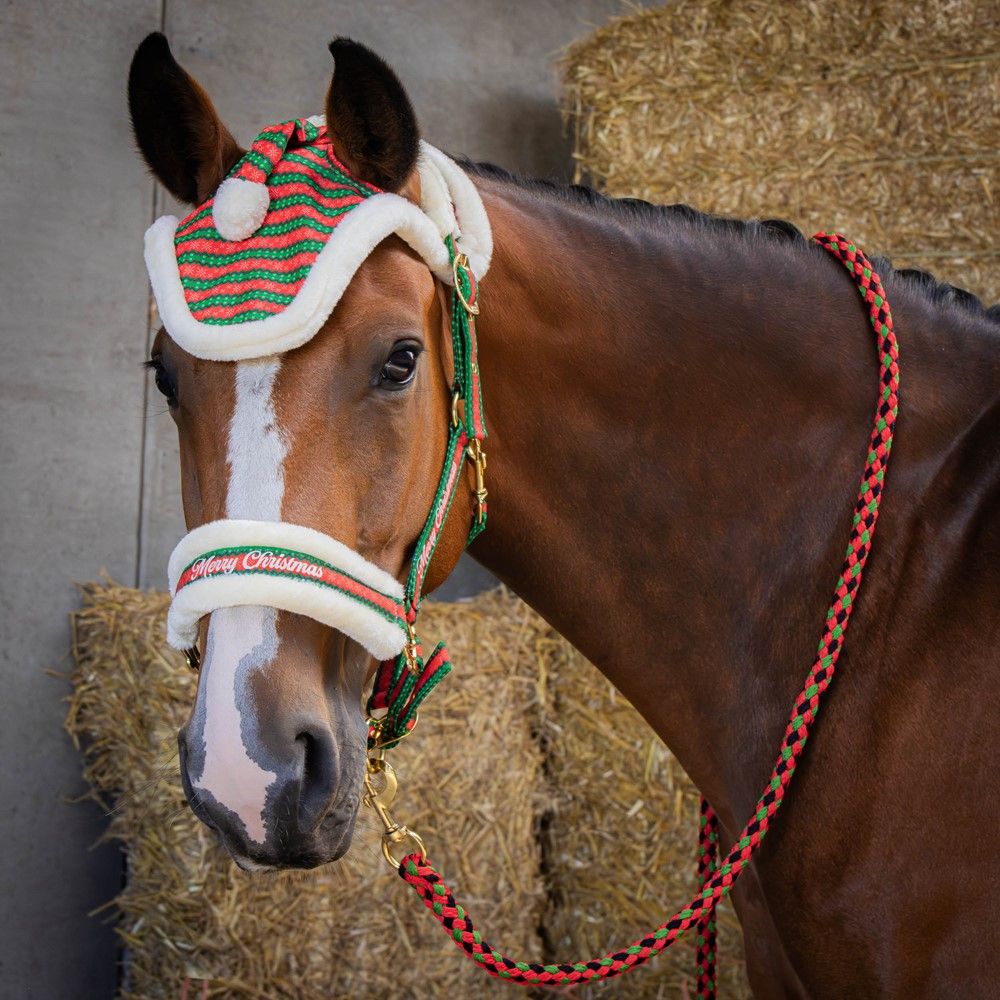 HALSTERSET EN MUTS CHRISTMAS PONY ROOD
