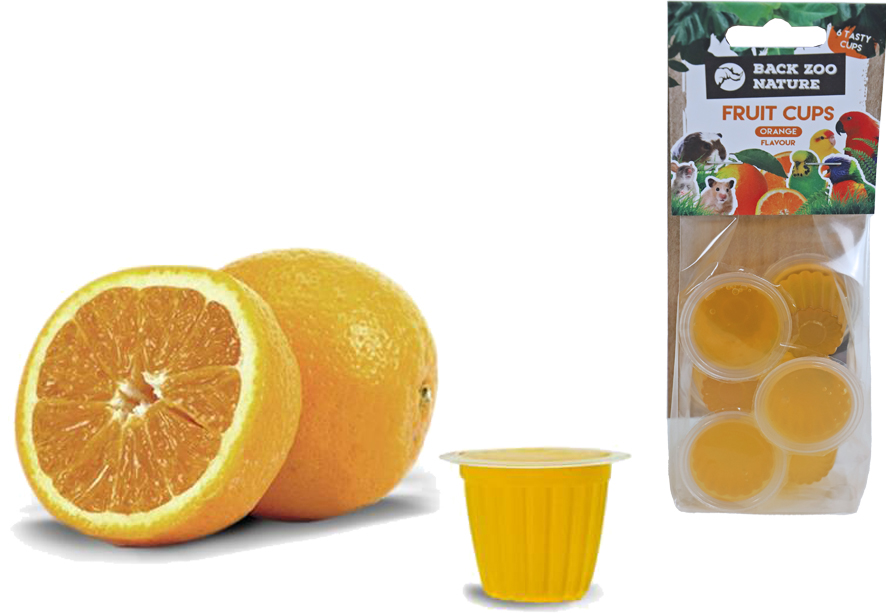 Fruitcup Orange Zak A 6 Stuks
