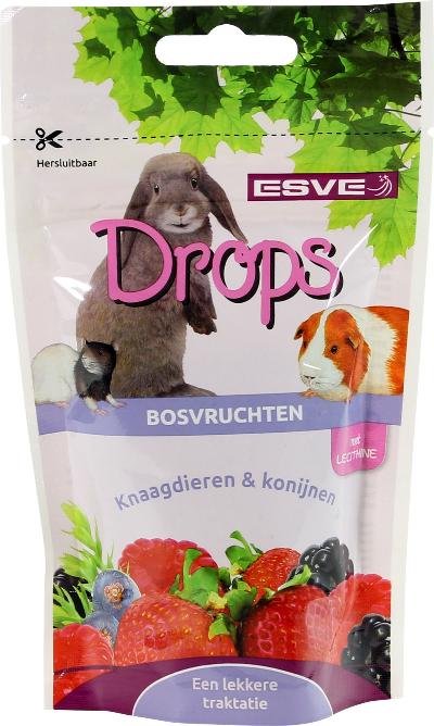 KNAAGDIER DROPS BOSVRUCHTEN 75 GR