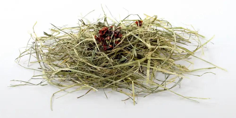 Herbal Hay Echinacea&Paprika 6X500 Gr