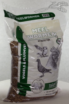 Meelwormen 5 Kg