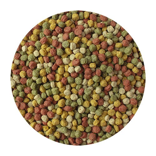 VIJVERKORRELS 10 KILO