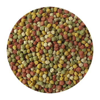 VIJVERKORRELS 10 KILO