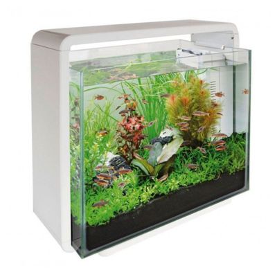 AQUARIUM HOME 40 WIT
