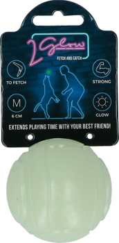 2 Glow Fetch And Catch