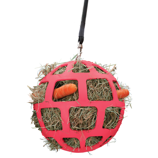 HAY SLOW FEEDER FUN & FLEX ROZE
