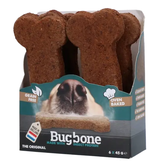 BUGBONE LARGE