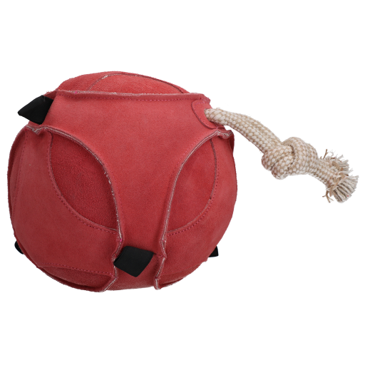 EXCELLENT HORSE FUN PLAY BALL SUEDE ROZE